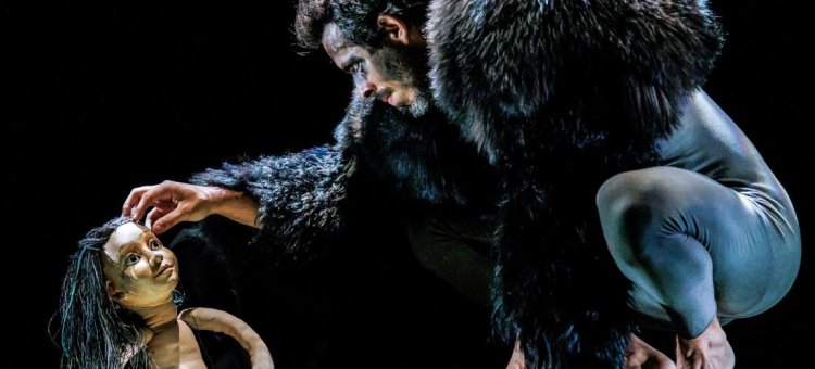 RFG · SON SALVAXE! · CONCERTO FAMILIAR