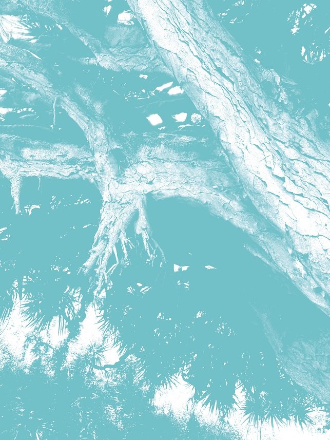 INTERFERÊNCIAS 2025