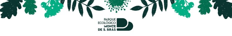 Combate ao Desperdício Alimentar