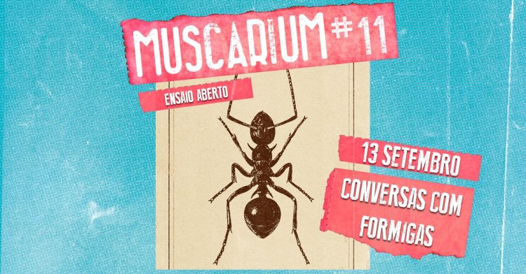 CONVERSAS COM FORMIGAS | MUSCARIUM#11