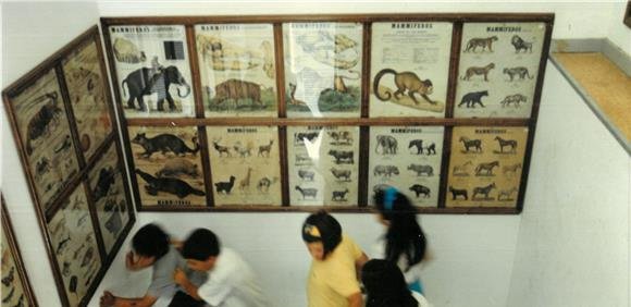 MUSEU ESCOLAR OLIVEIRA LOPES 40 ANOS DE HISTÓRIA