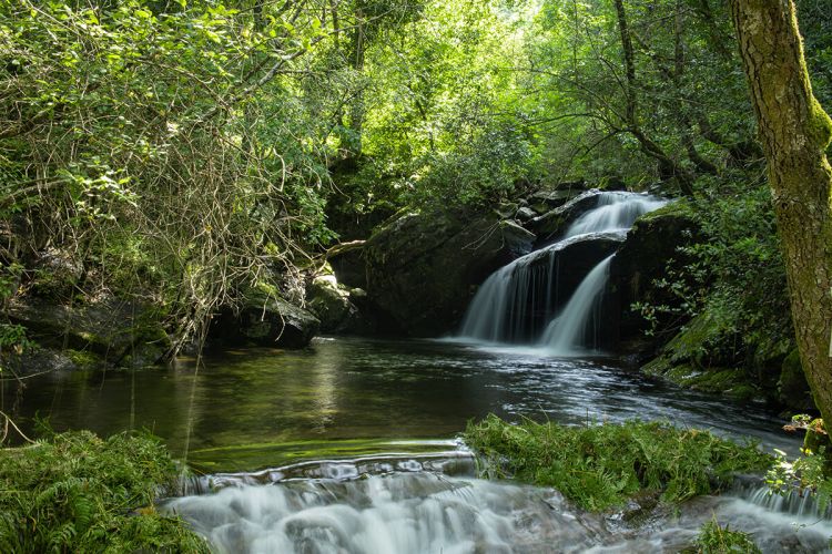 Trilho Levada de Piscaredo (Mondim de Basto)