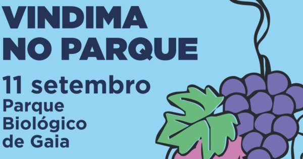 Vindima no Parque