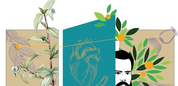 II JORNADAS DINISIANAS