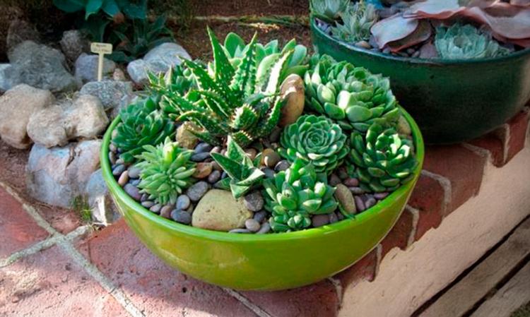 Workshop 'Arranjos de mesa com Plantas'