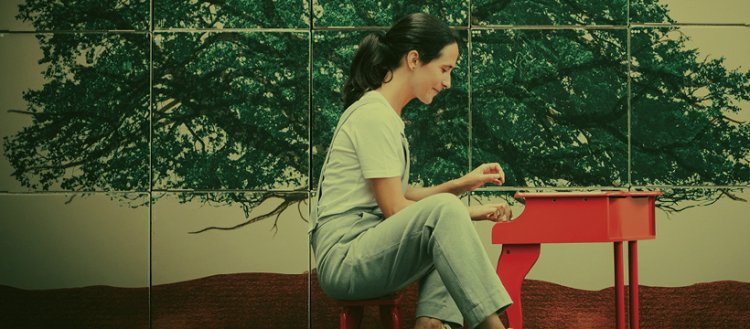 As Árvores não têm pernas para andar