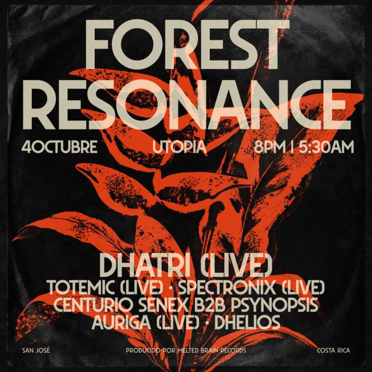 Forest Resonance (Dhatri in Costa Rica) [Psytrance]