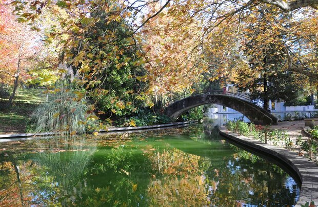 Festa da Juventude de São Torcato