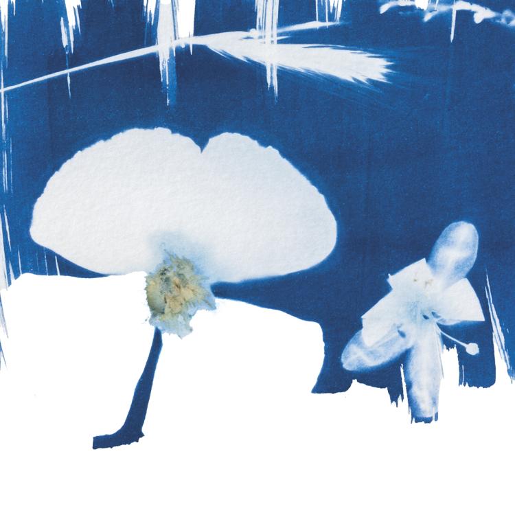 Exposição: O invisível nasce a azul