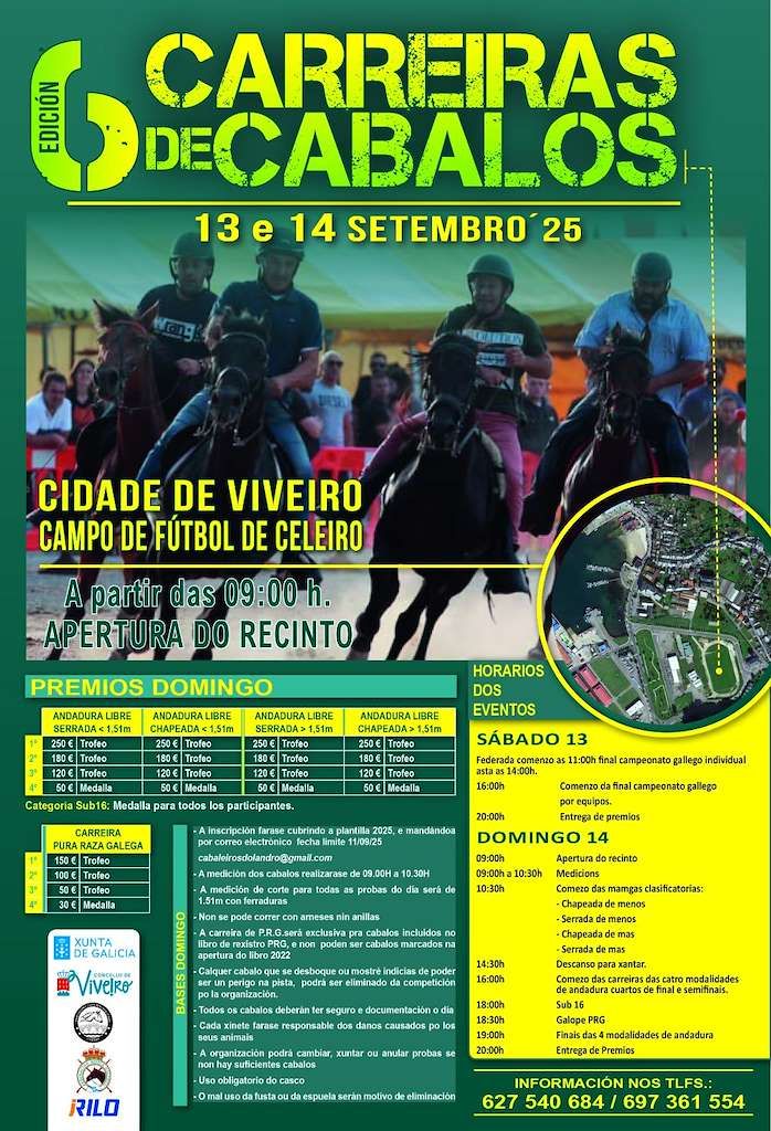 CARREIRAS DE CABALOS CIDADE DE VIVEIRO 2025 | 6ª edición