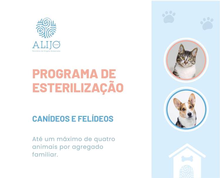 Candidaturas a apoios à esterilização de animais de companhia