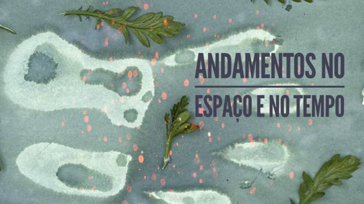 Andamentos no Espaço e no Tempo | exposição | Manuela Matos Monteiro Paula Roush João Lafuente