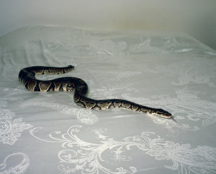 Fim de Emissão#53 | Francisco Escada | Luís Lopes | Paixão 