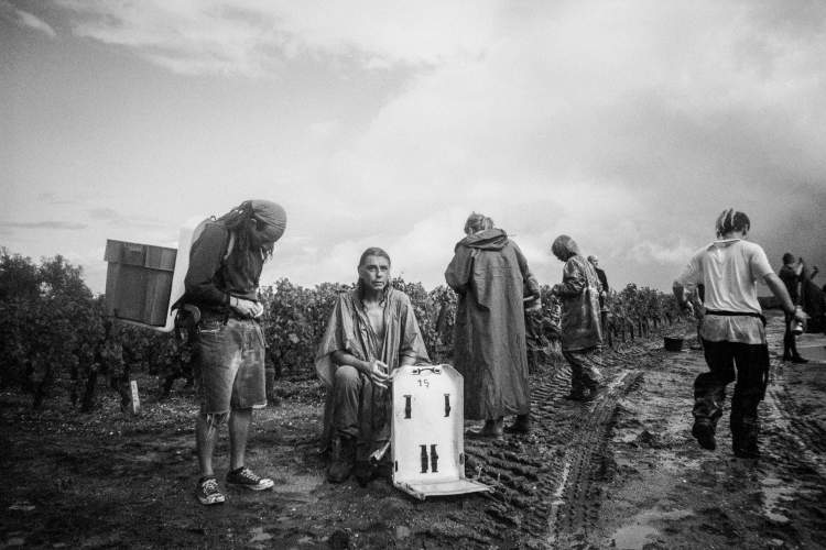 João Salgueiro Baptista