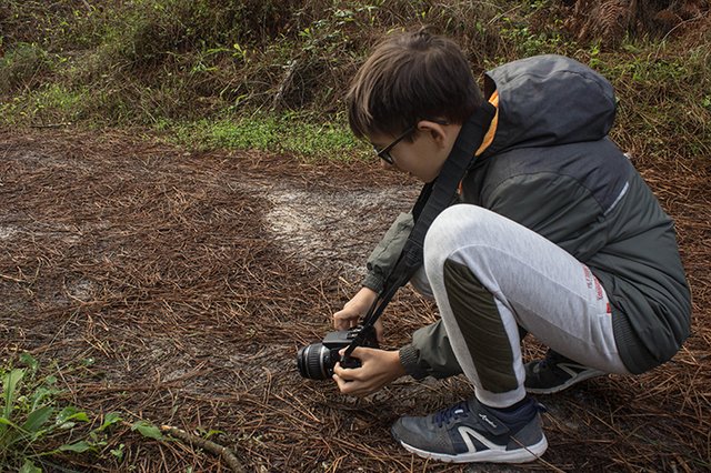 Iniciação à Fotografia de Natureza