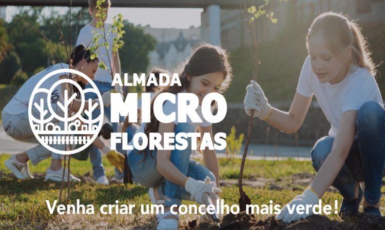 Nova Microfloresta - Parque Urbano de Fróis no Monte de Caparica