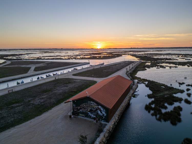 Descobrir e Experienciar a Ria