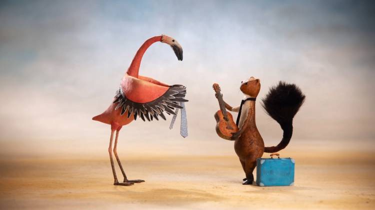 Curtinhas Vila do Conde