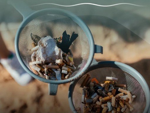 DIA INTERNACIONAL DA LIMPEZA COSTEIRA – AÇÃO DE LIMPEZA NA PRAIA DA LUZ