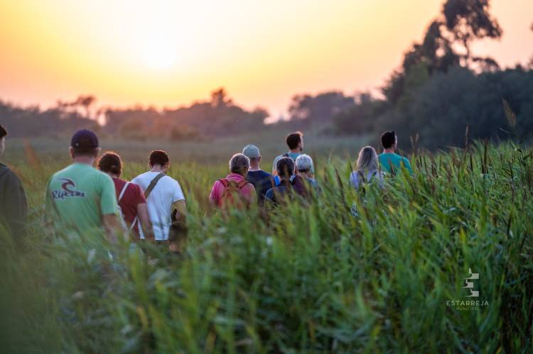 Conferência 'O Ruído Ambiente: O Poluente Esquecido'