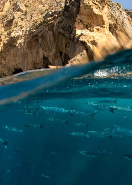 Sesimbra pela Lente de... Luís Quinta