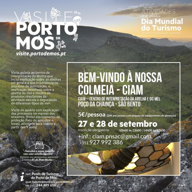 Bem-vindo à nossa colmeia - CIAM