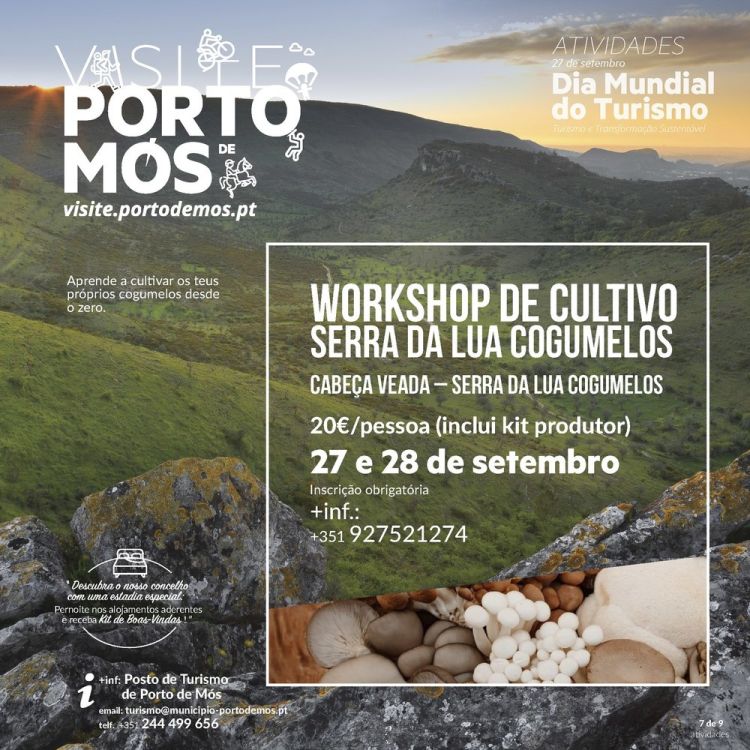 Workshop de Cultivo – Serra da Lua Cogumelos