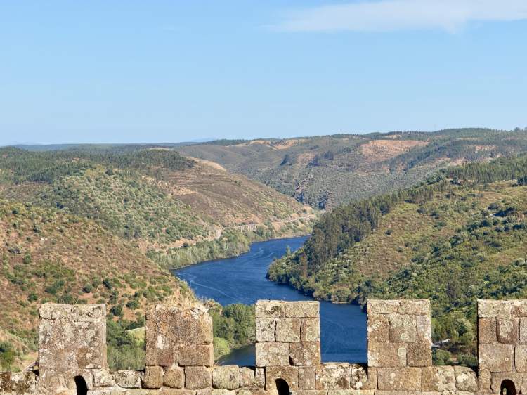 O Próprio e o Alheio: Ictiofauna do Rio Tejo