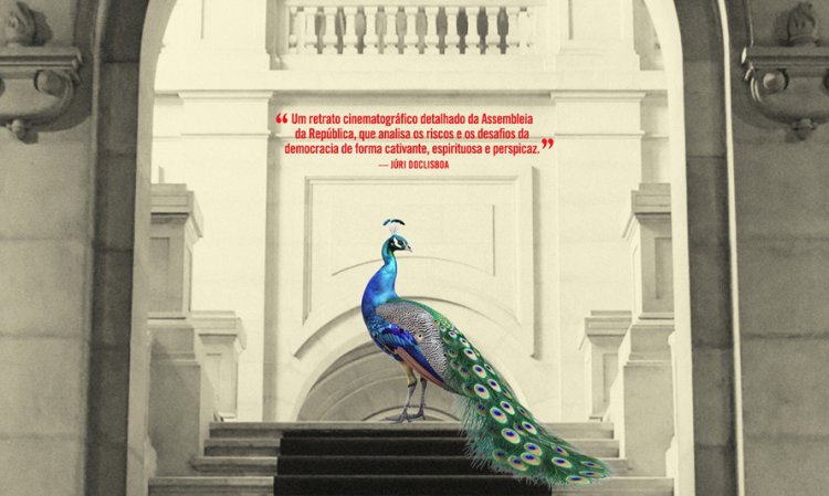 O Palácio de Cidadãos, de Rui Pires