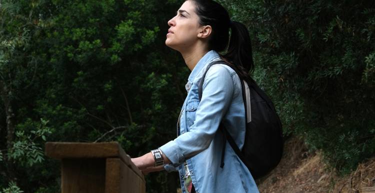 Percurso Interpretativo - Trilho Panorâmico do Tejo