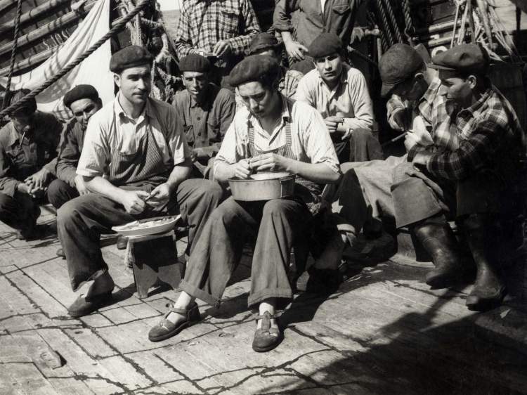 Festival Gastronomia de Bordo - Ílhavo  2025