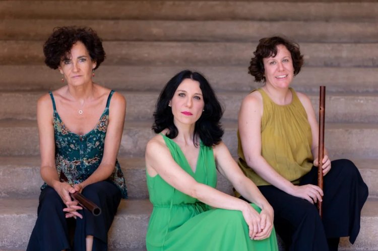 Música Antigua Plasencia: Piacere dei Traversi