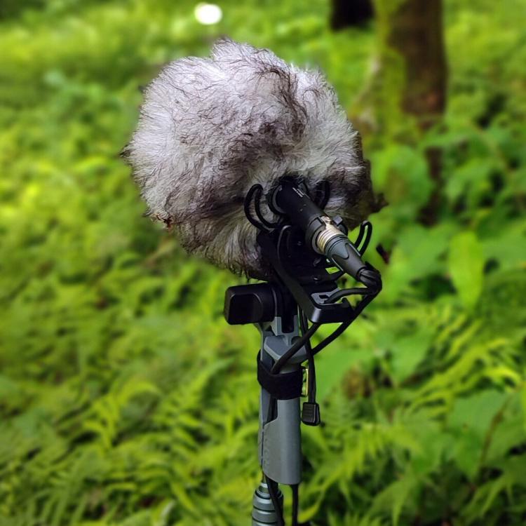 “Uma orelha perdida em Odemira”, Oficina de Práticas Sonoras com Carlos Santos