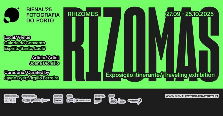 Inauguração da exposição RIZOMAS de Joana Dionísio