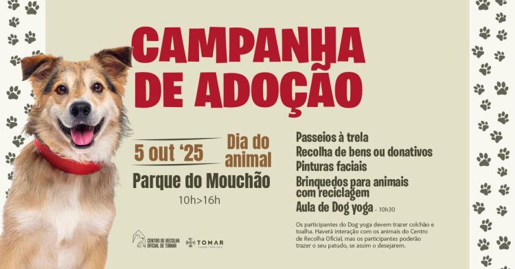 Campanha de adoção de animais