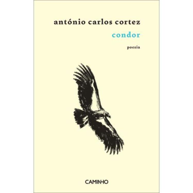  Apresentação do livro 'Condor', de António Carlos Cortez