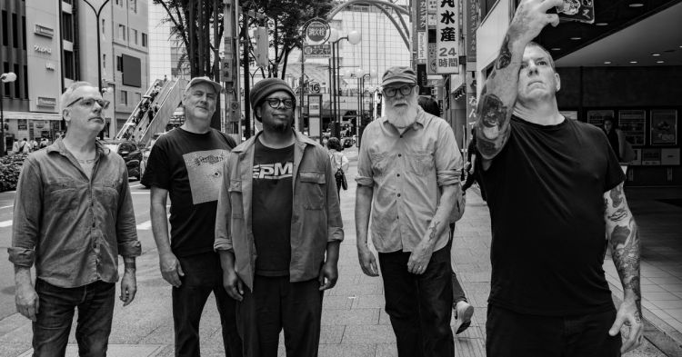 TORTOISE
                                Touch