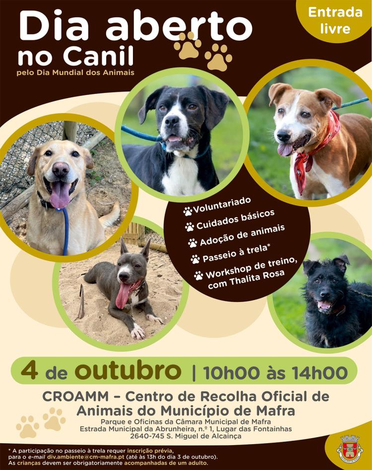 Dia aberto no Canil Municipal