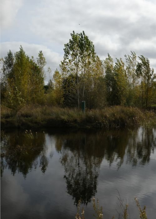 A Várzea a sua Fauna e Flora no Outono