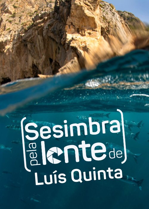 Conversa e visita à exposição de Luís Quinta