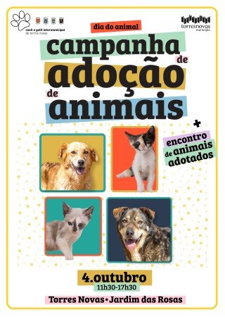Campanha de Adoção de Animais e Encontro de Animais Adotados