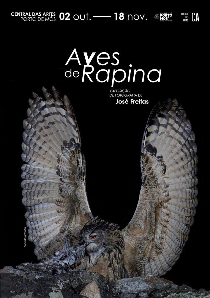 Aves de Rapina - Exposição de Fotografia de José Freitas