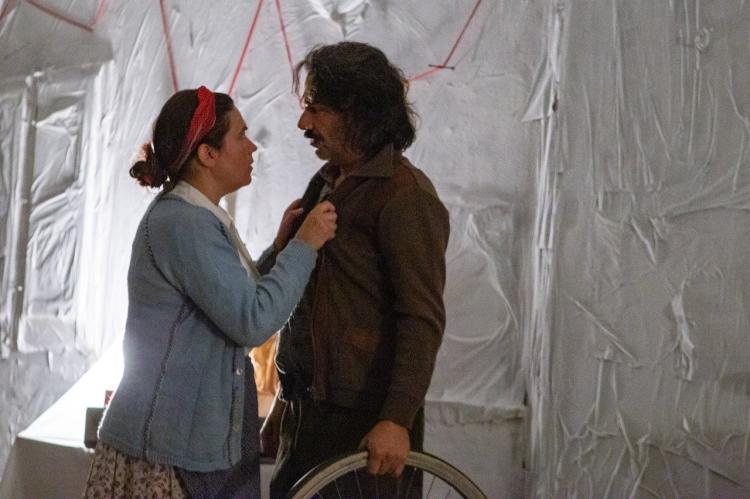 'Amor e Formigas' de Bárbara Soares