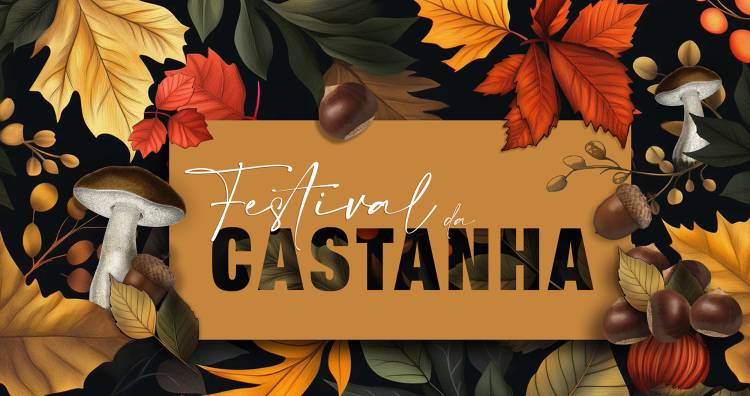 Festival da Castanha 2025