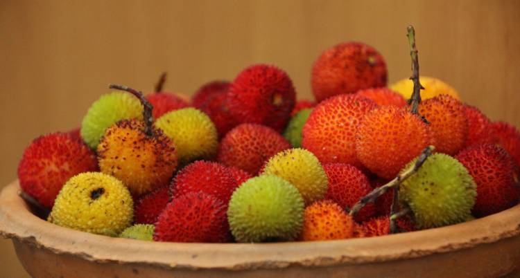 Mostra dos Frutos de Outono