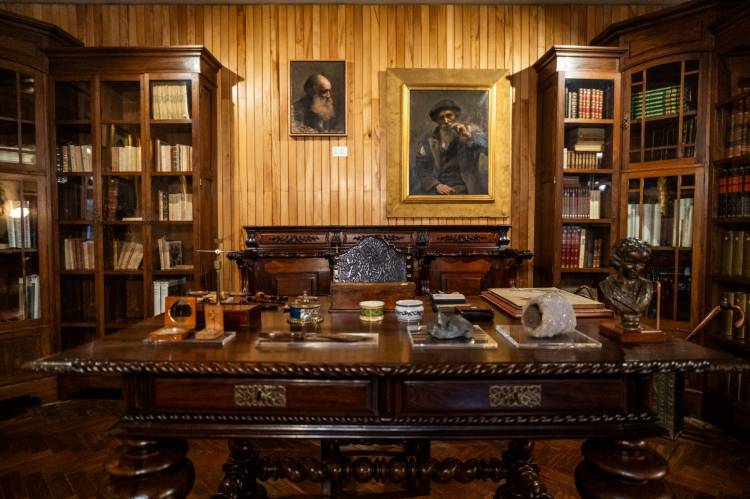 DIA DA AMMO — CÍRCULO DE AMIGOS MARTA ORTIGÃO