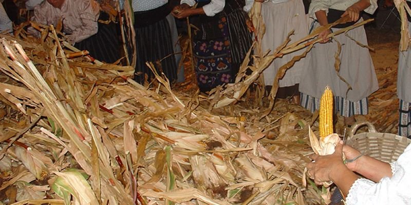 Desfolhada Tradicional