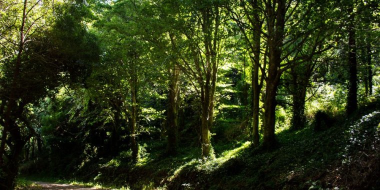 Comemoração do Dia do Parque Natural Sintra-Cascais 2025