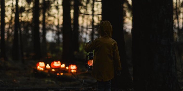 Passeio Noturno de Trator e Contos Assustadores