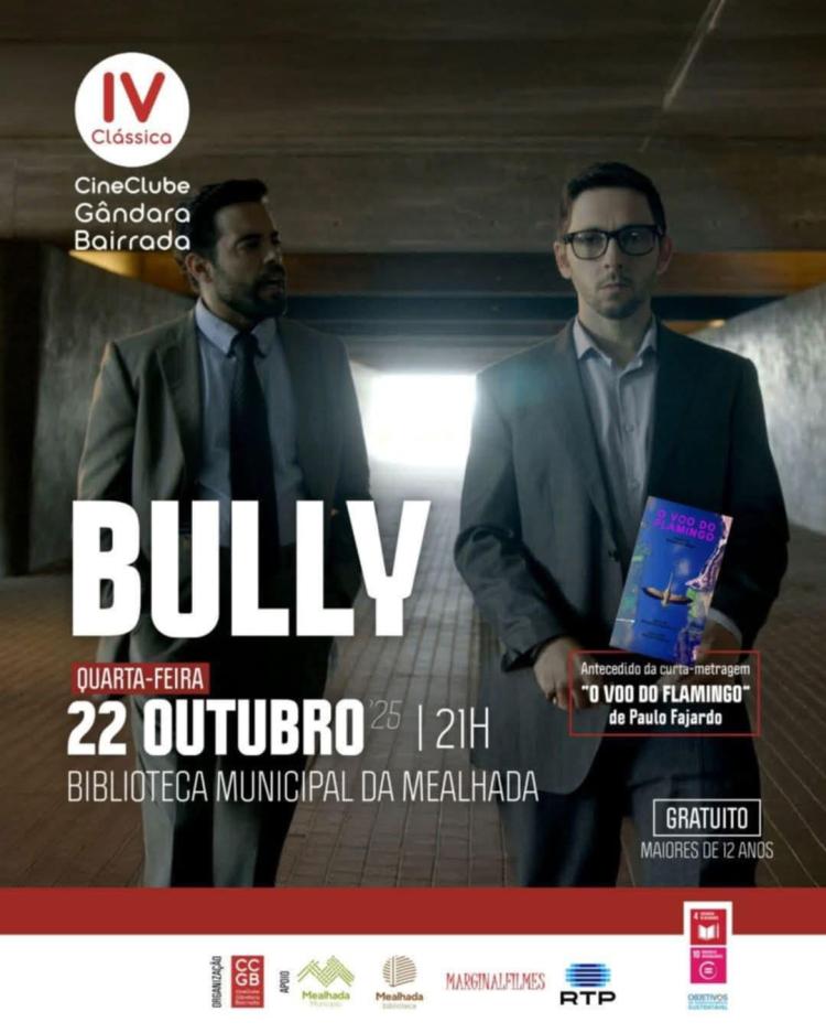 Cinema: “Bully” / “voo do flamingo”